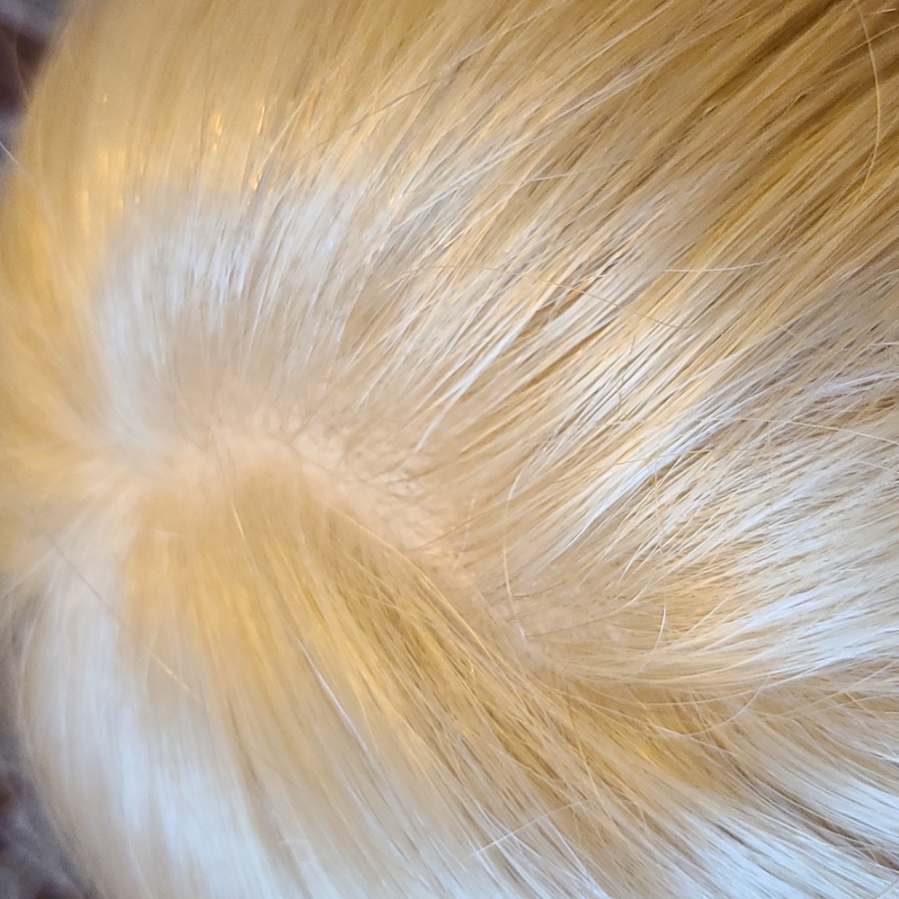 Synthetic full monofilament top wig